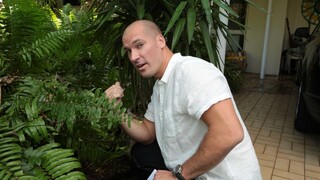  Trimmed Latina Gets Doggystyle  - free porn on 1PORNO.NET