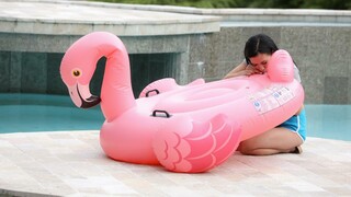 Poolside Blowjob with Sexy Brunette Nikki Fox - cel mai bun pornograf fără înregistrare 1PORNO.NET