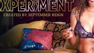 September Reign Gets Anal - Big Natural Tits & Sex Toys - the best porn without registration 1PORNO.NET
