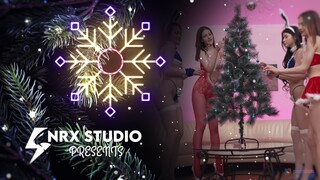 Small Tits, Big Cocks, and Anal Fun - the best porn without registration 1PORNO.NET