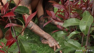 Life's a XXX Ride with Jordi El Niño Polla - the best porn without registration 1PORNO.NET